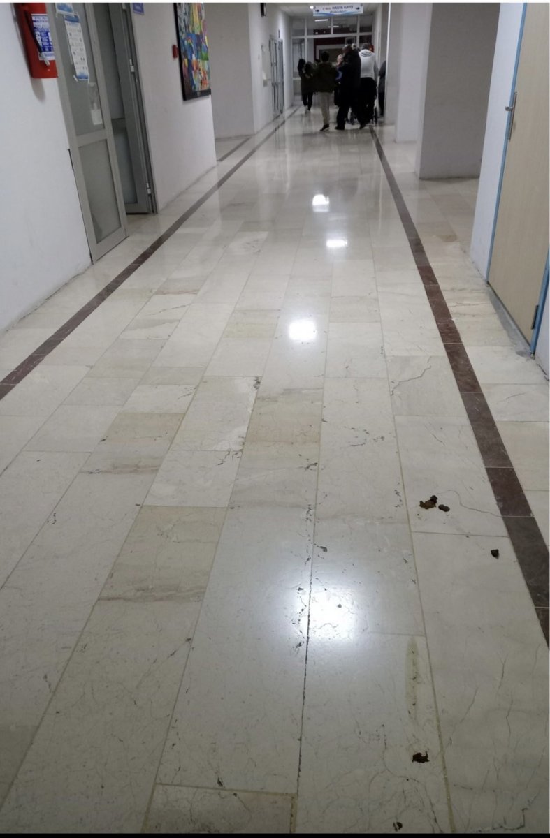 İzmir'deki hastanelerde başıboş köpek tedirginliği