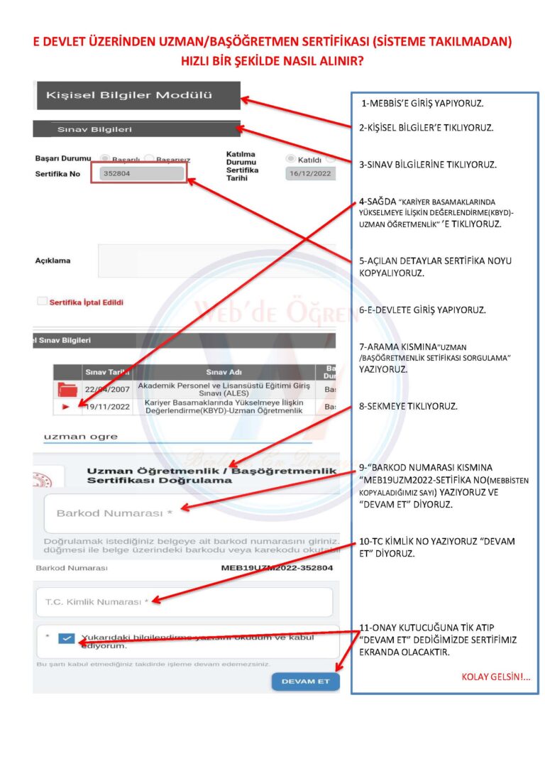 Uzman Öğretmen Sertifikası E-Devlet Üzerinden (Sisteme Takılmadan) Hızlı Bir Şekilde Nasıl Alınır?