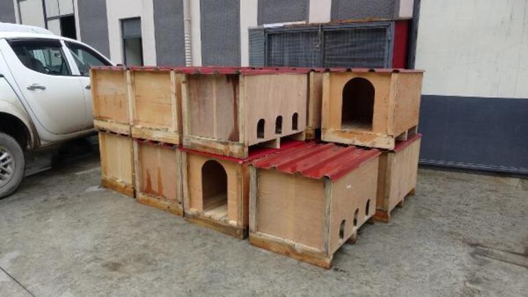 Yer: Trabzon! Kedi kulübesine kazmalı saldırı